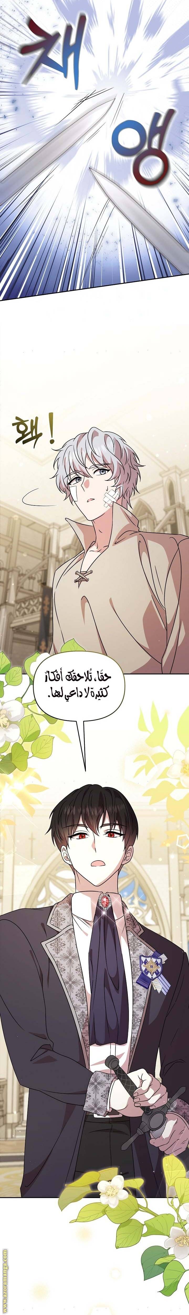 الصفحة 19