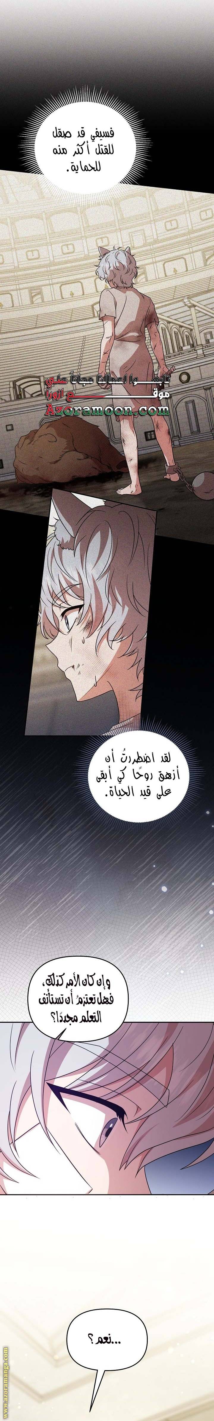 الصفحة 21