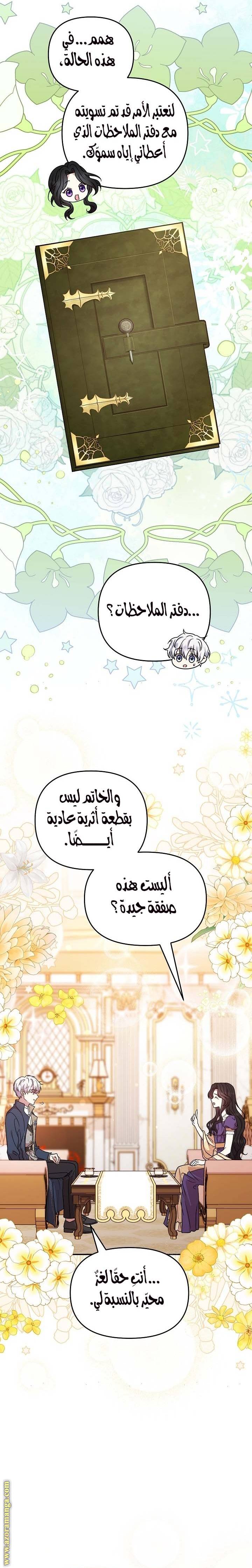 الصفحة 26