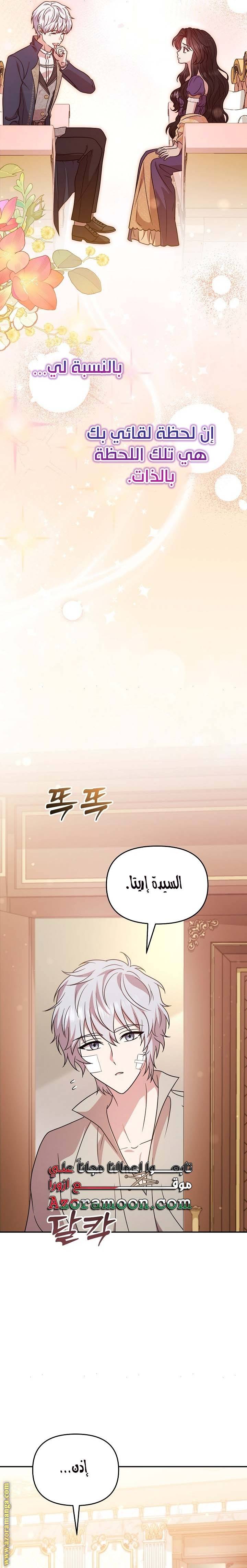 الصفحة 31