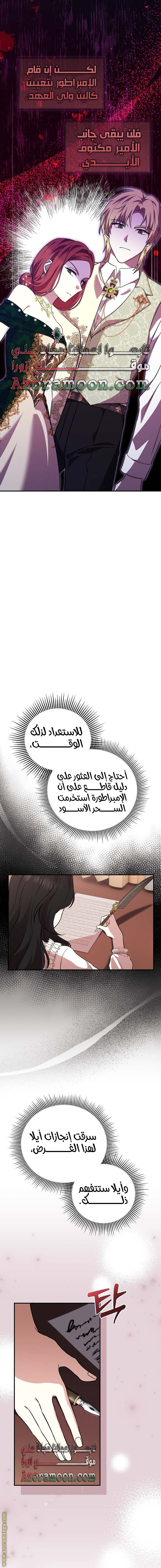 الصفحة 13