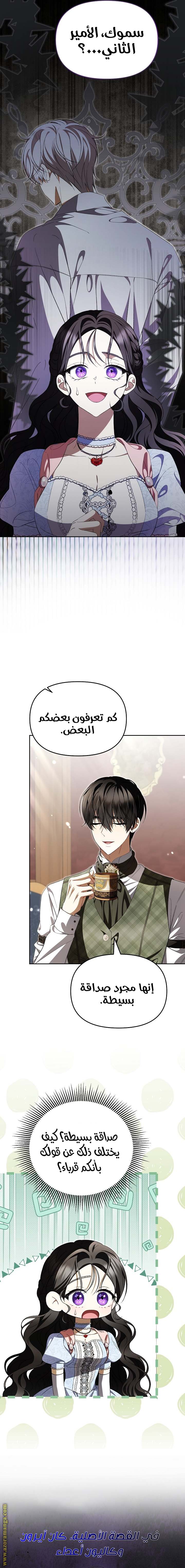 الصفحة 15