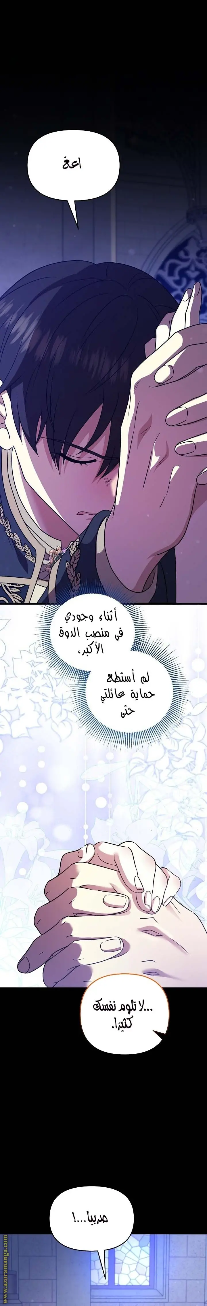 الصفحة 17