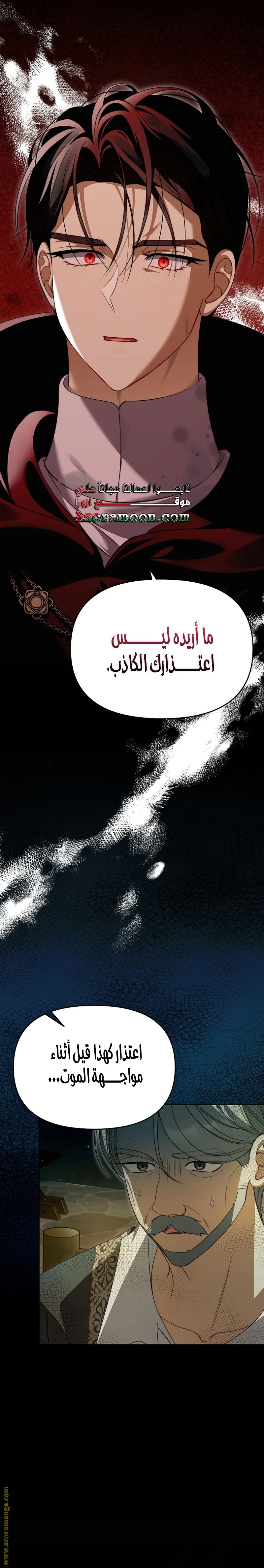 الصفحة 25
