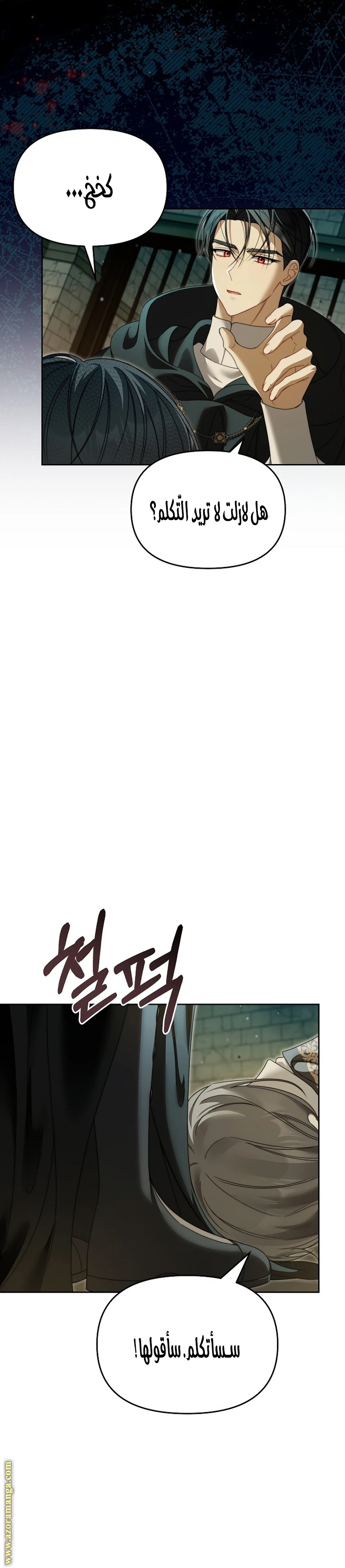 الصفحة 28