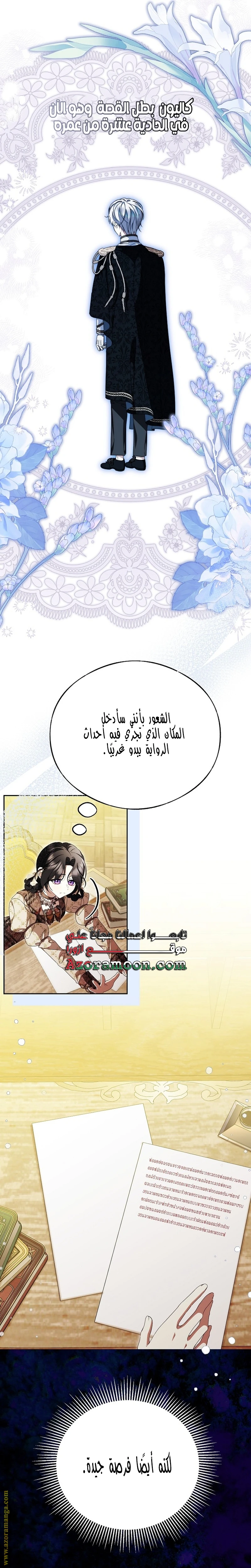 الصفحة 17