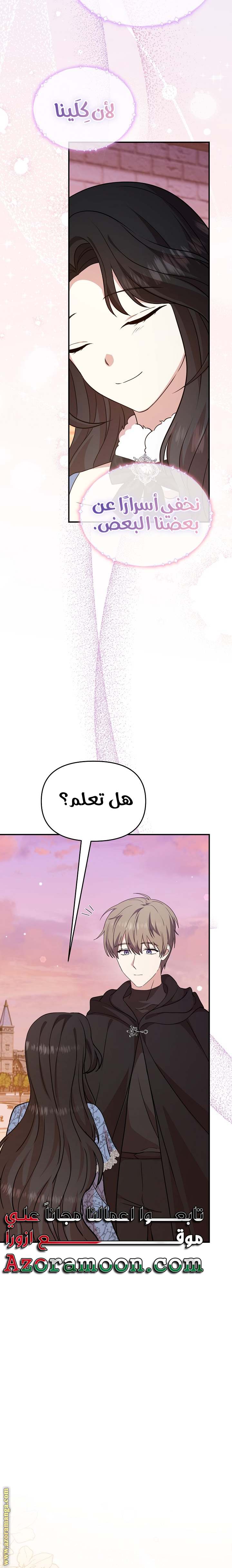الصفحة 17