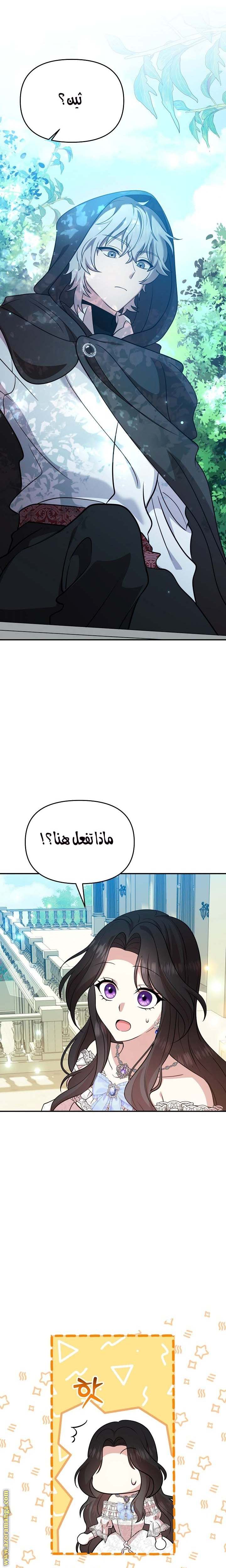 الصفحة 20