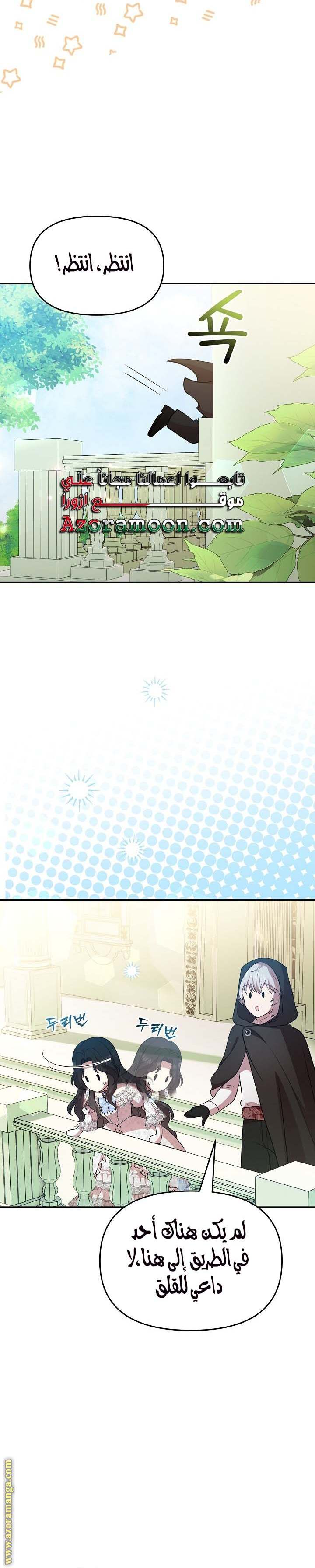الصفحة 21