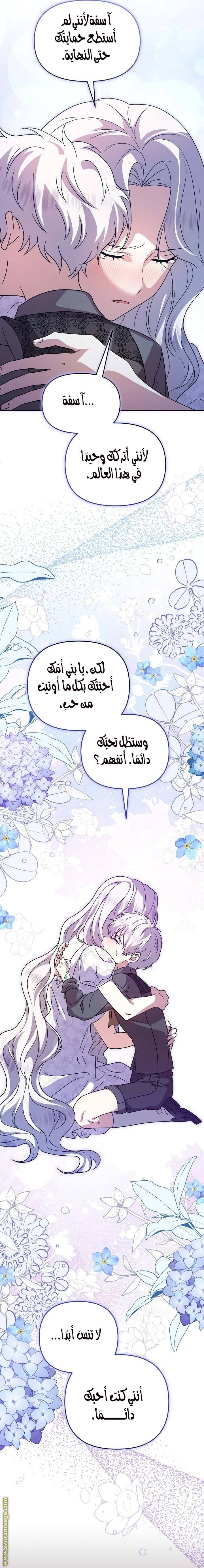 الصفحة 20