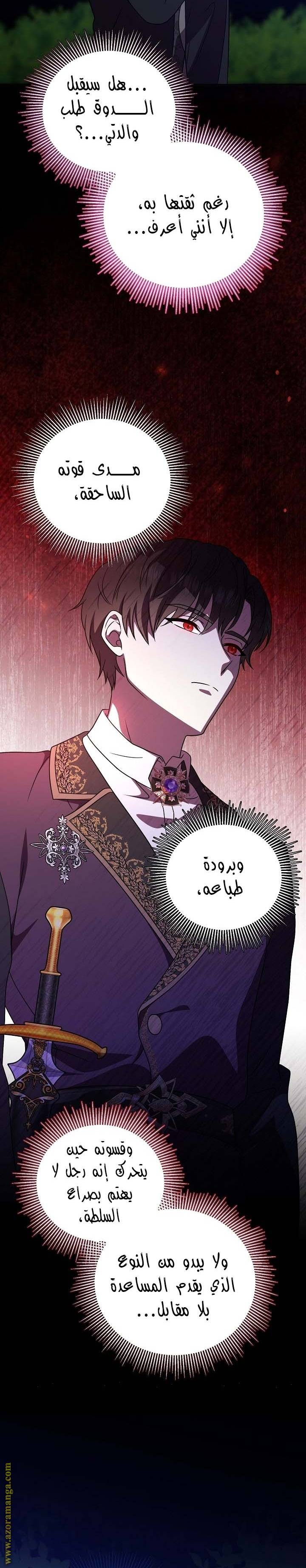 الصفحة 25
