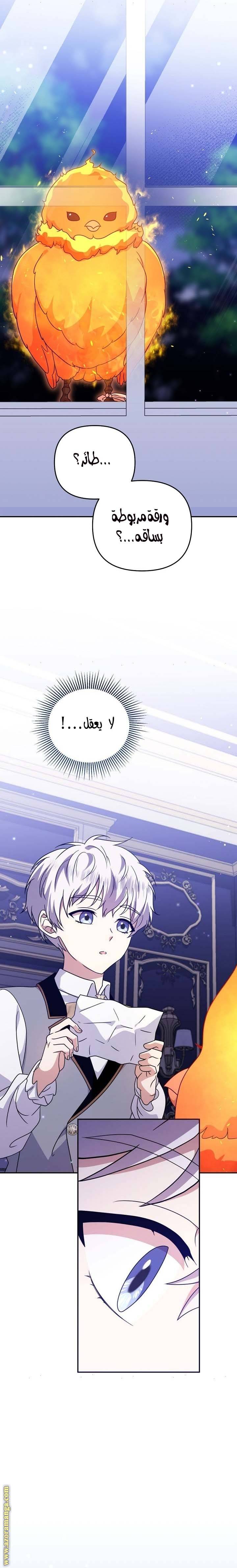 الصفحة 29