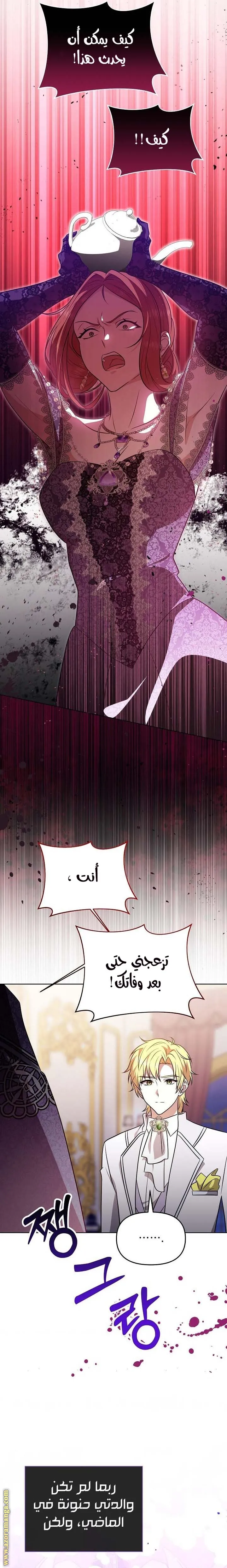 الصفحة 24