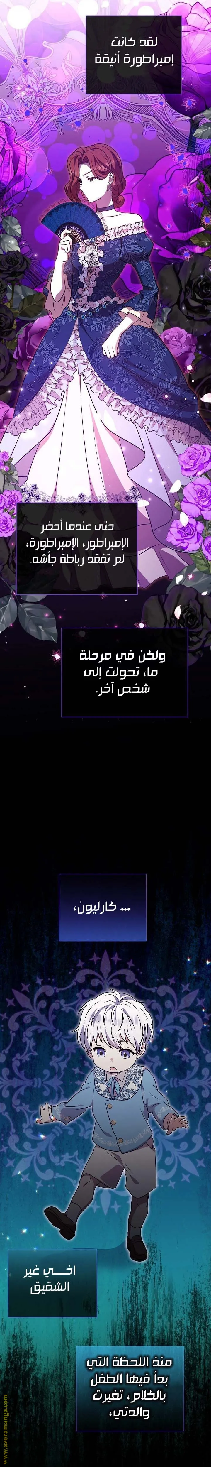 الصفحة 25