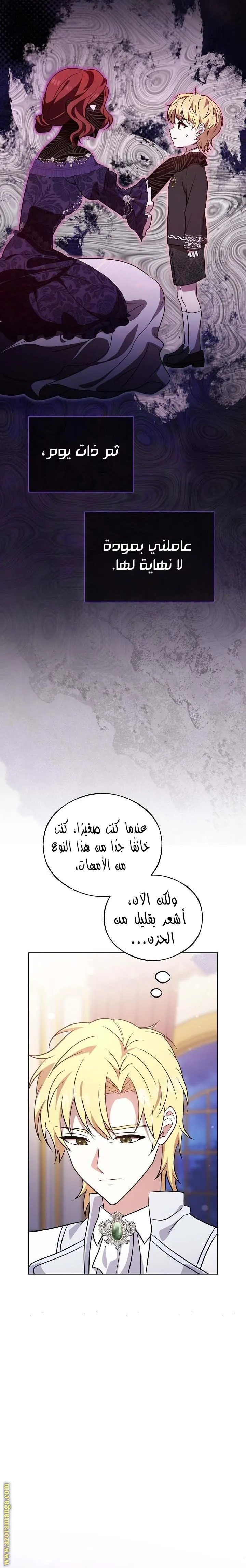الصفحة 27