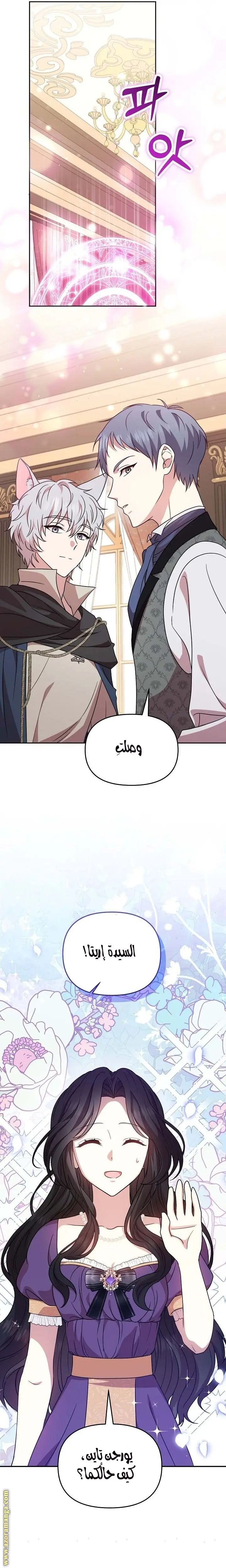 الصفحة 14