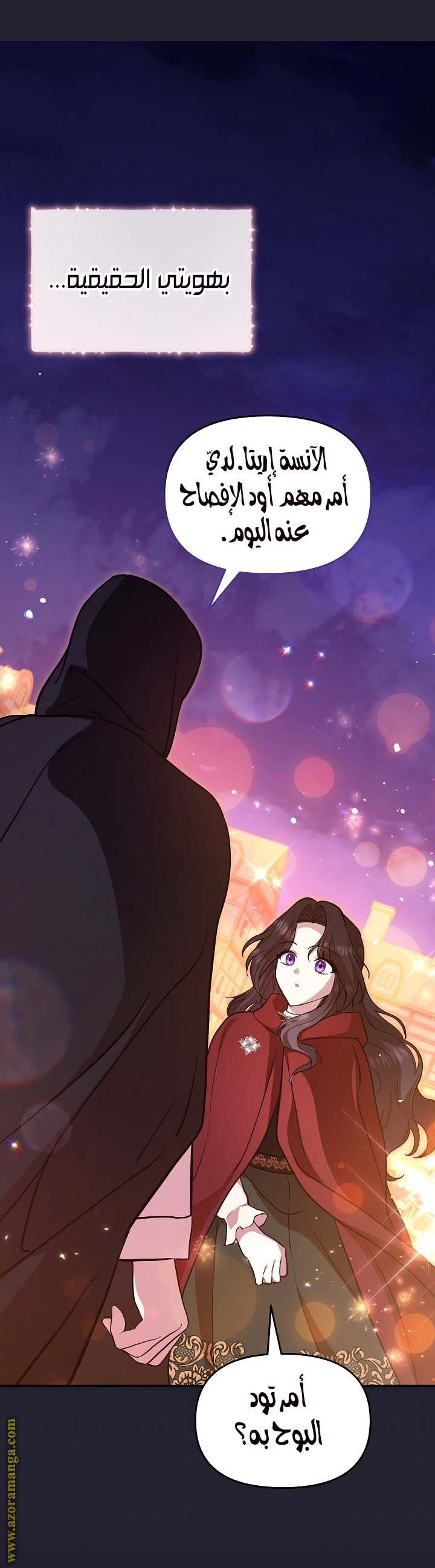 الصفحة 24