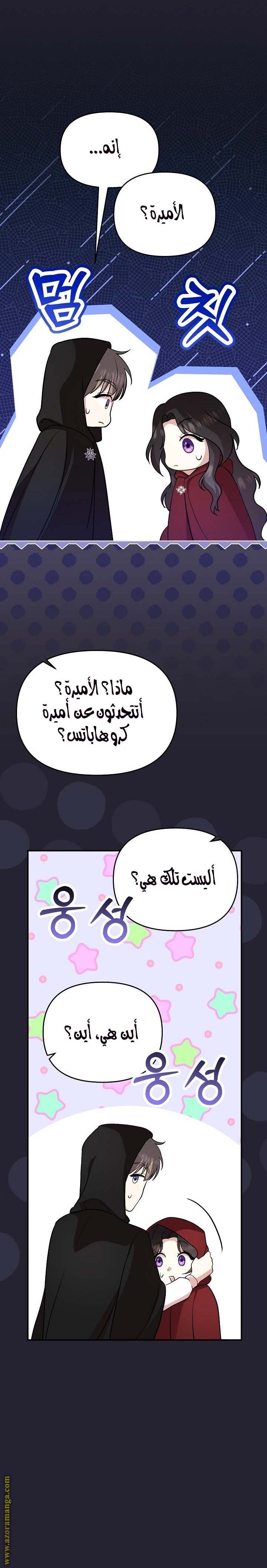 الصفحة 25