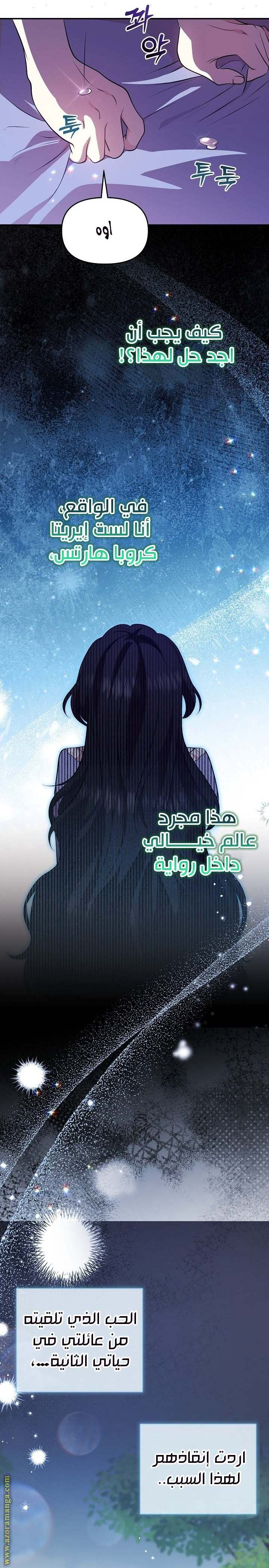 الصفحة 17