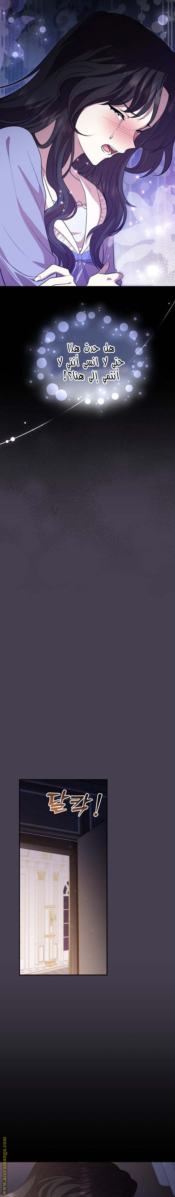 الصفحة 21