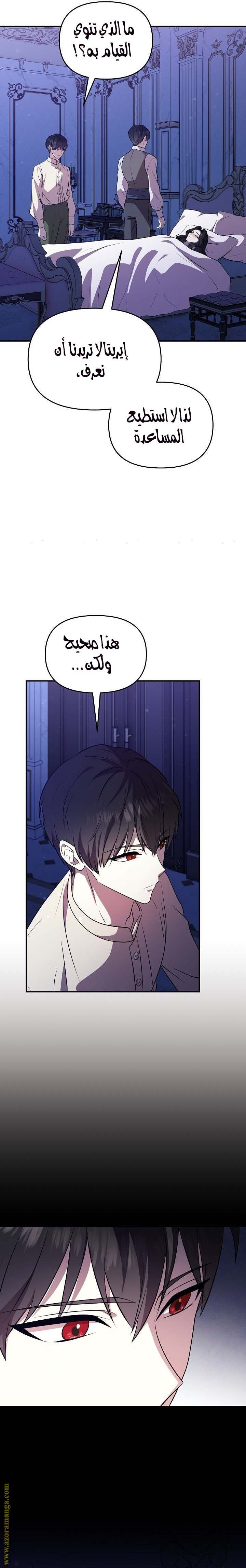 الصفحة 24