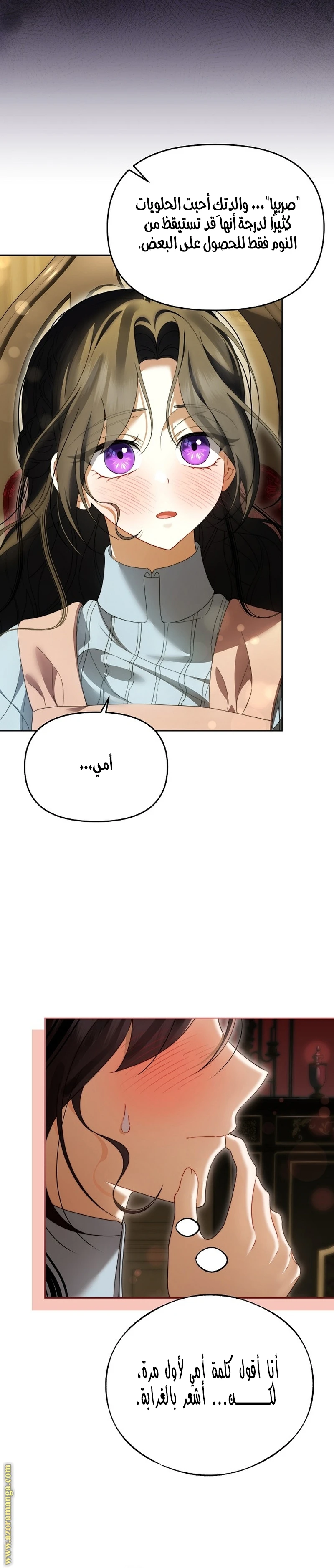 الصفحة 13