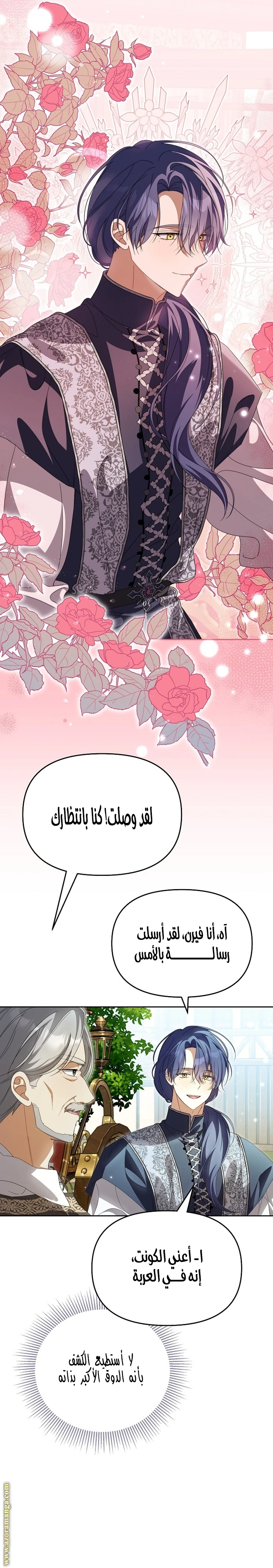 الصفحة 13