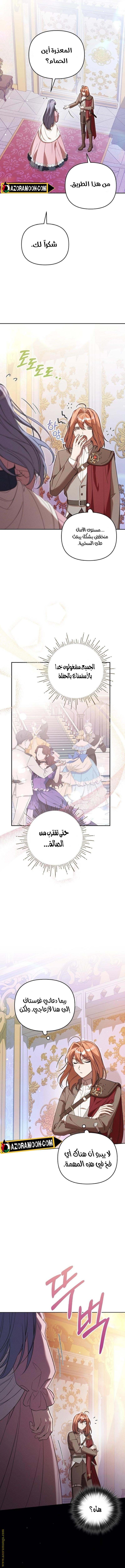 الصفحة 12