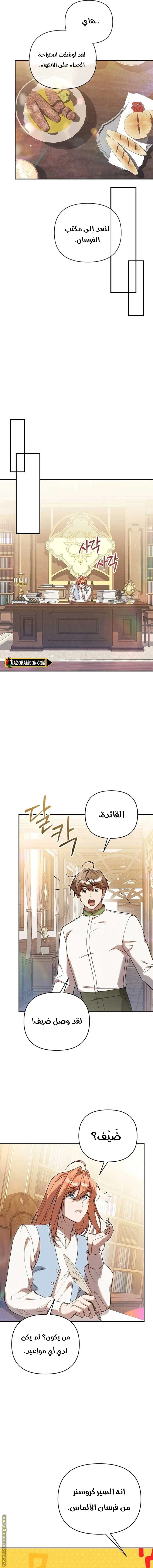 الصفحة 14