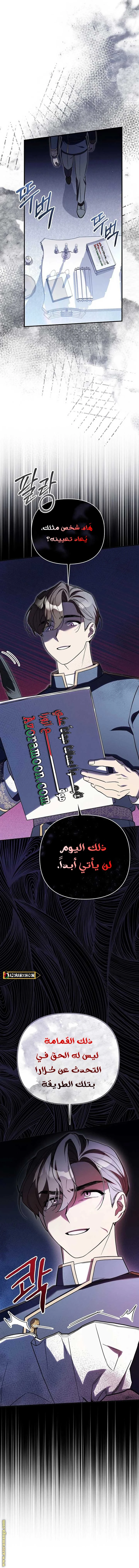 الصفحة 13