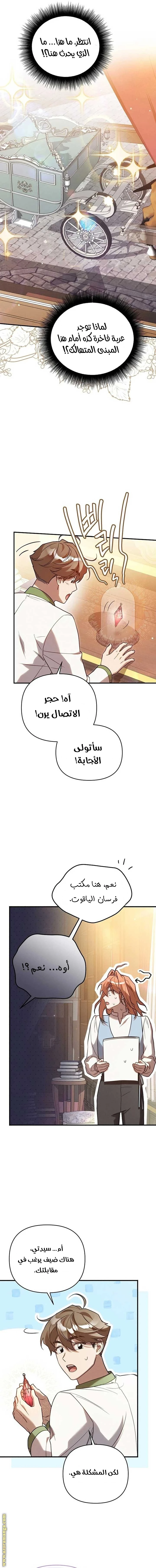 الصفحة 17