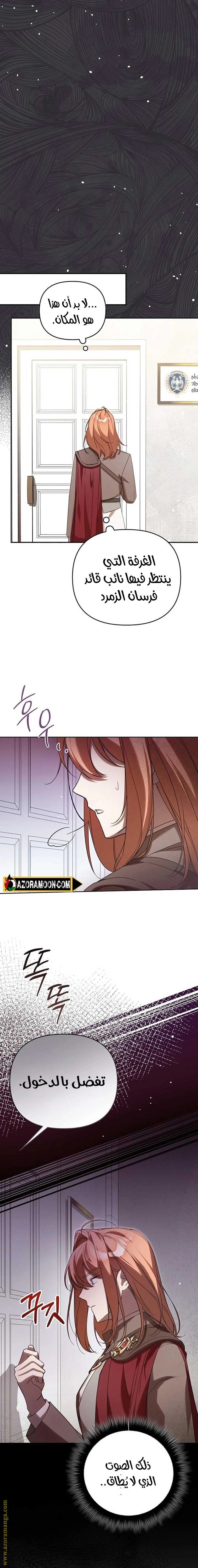 الصفحة 17