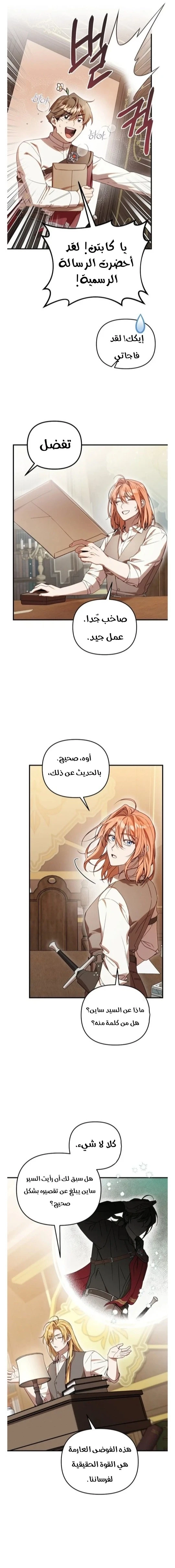الصفحة 17
