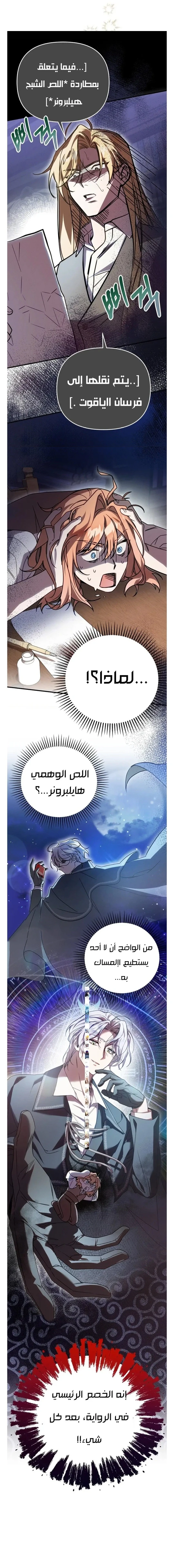 الصفحة 19