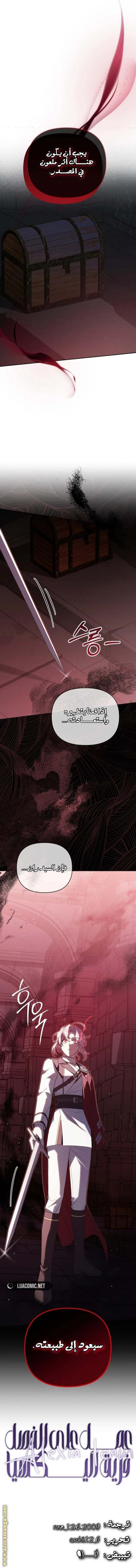 الصفحة 13