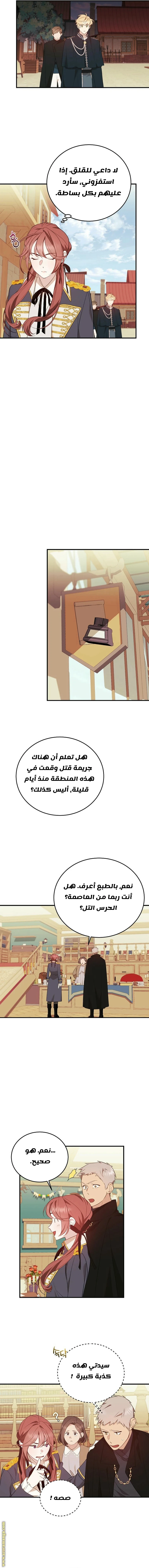 الصفحة 3