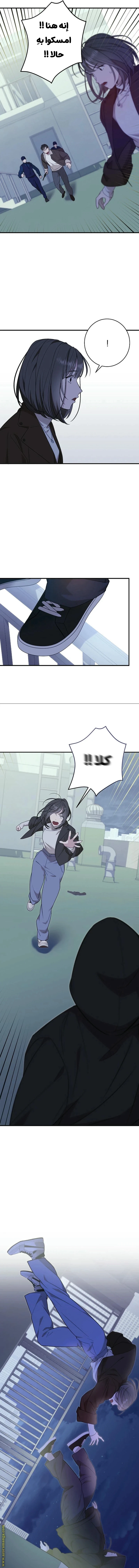 الصفحة 11
