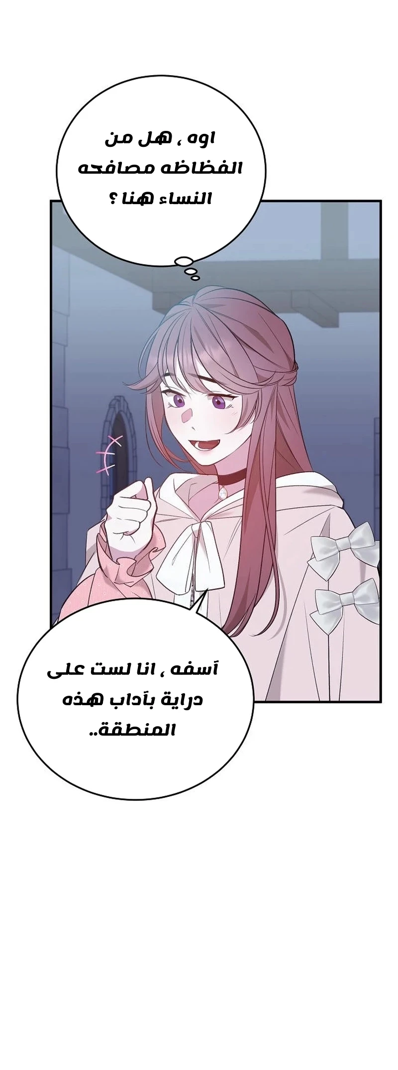 الصفحة 25