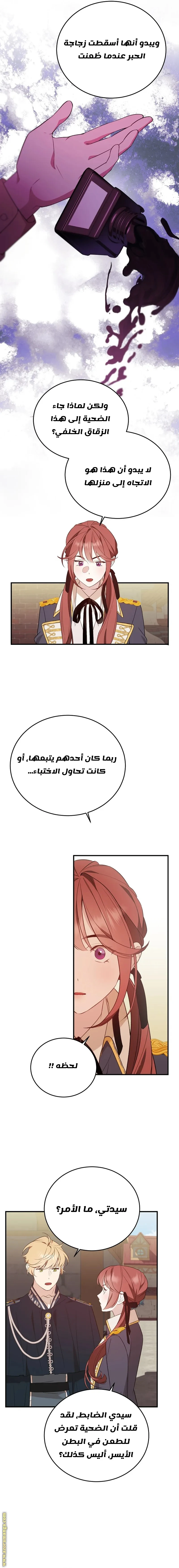 الصفحة 13