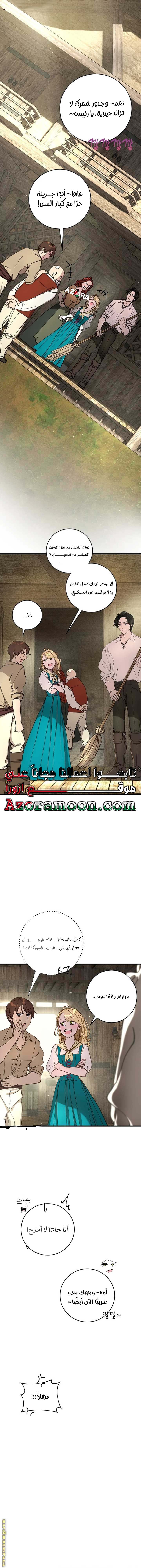 الصفحة 17