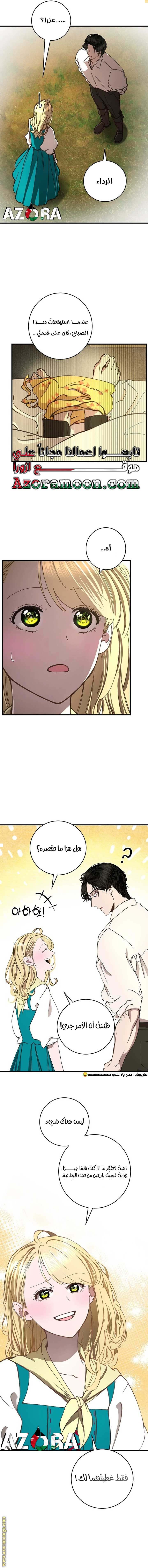 الصفحة 20
