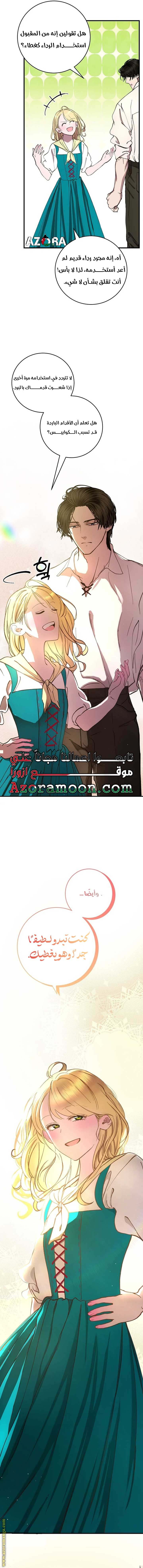 الصفحة 21