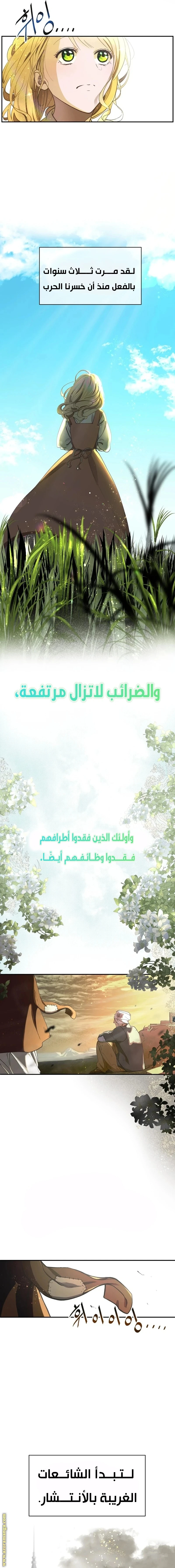 الصفحة 8