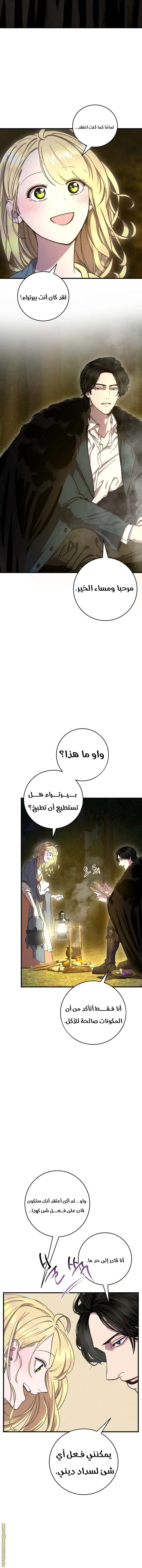 الصفحة 11