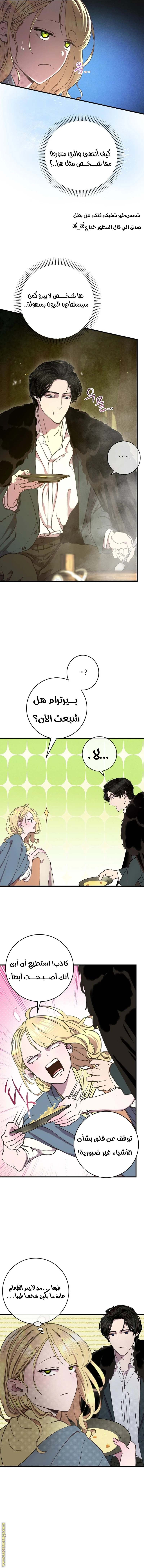 الصفحة 14