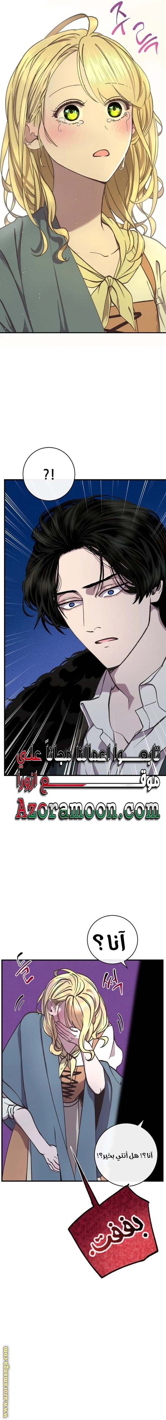الصفحة 17