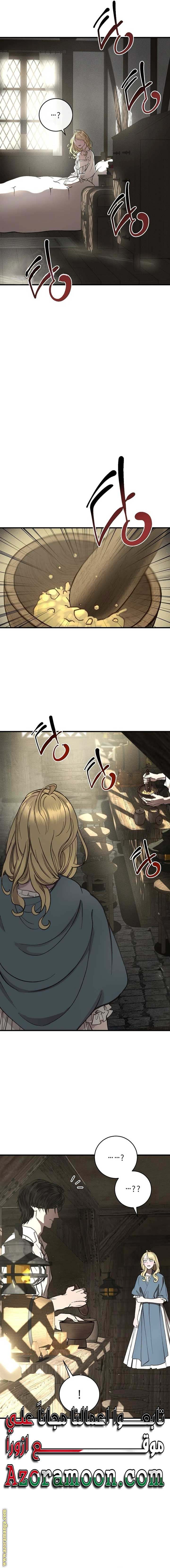 الصفحة 13