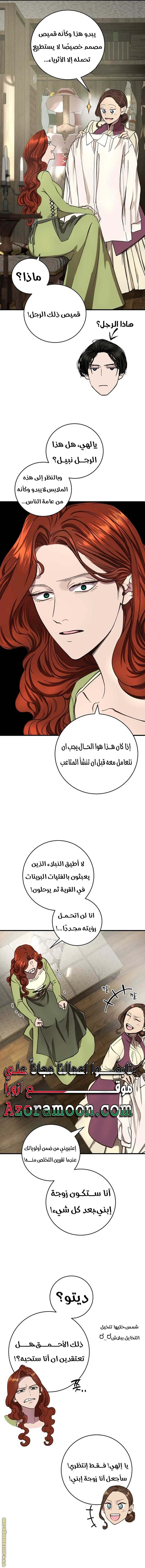 الصفحة 17