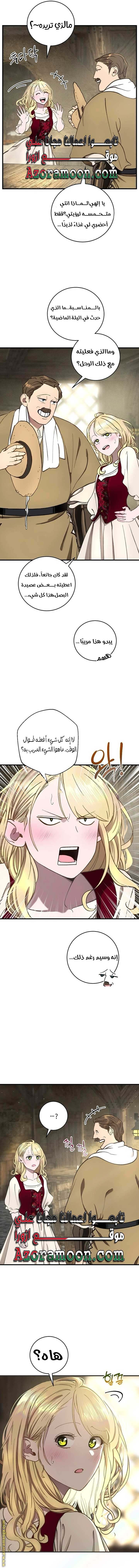 الصفحة 20