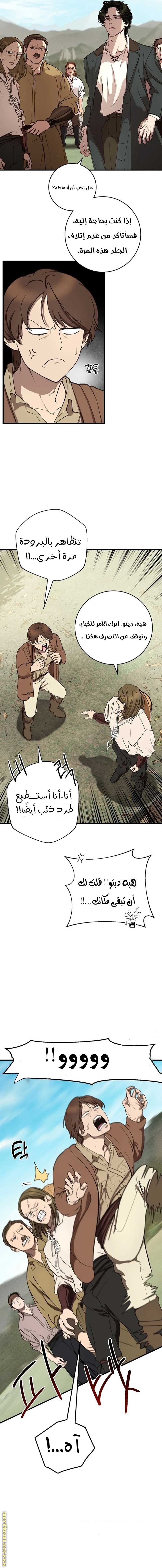الصفحة 12